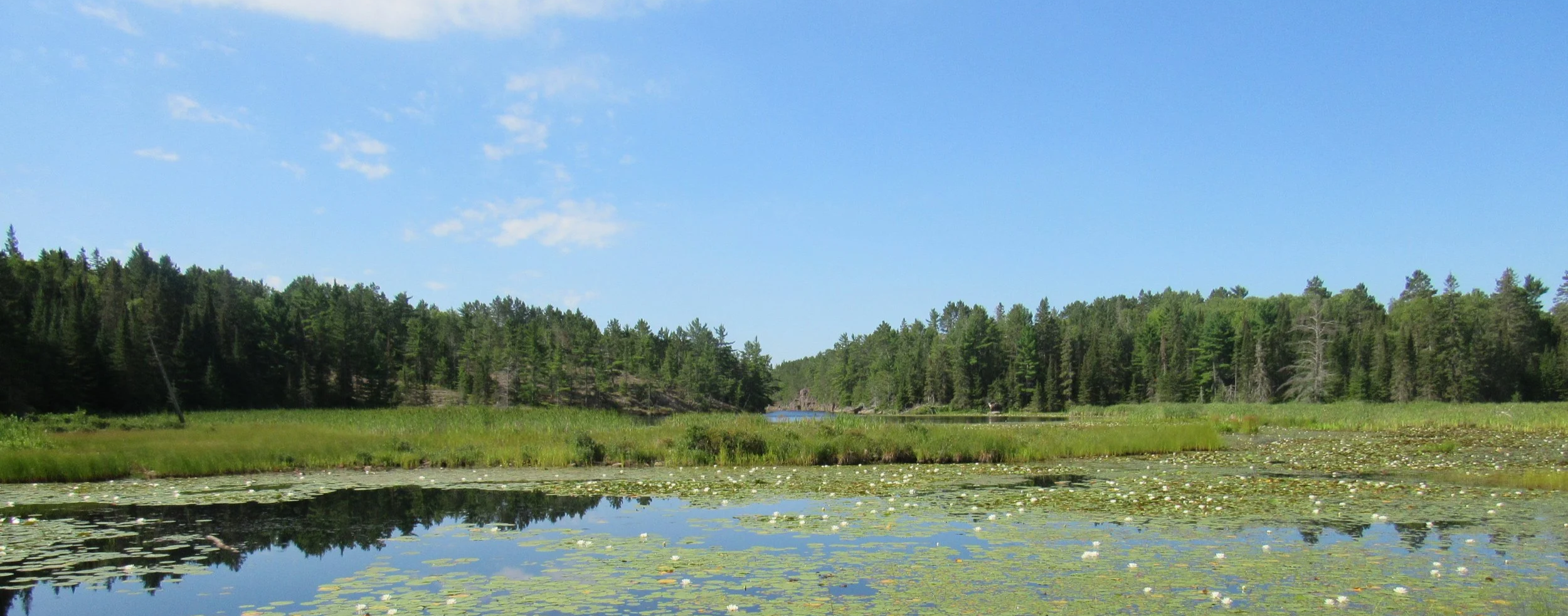 Protected Areas — Central Algoma Land Trust